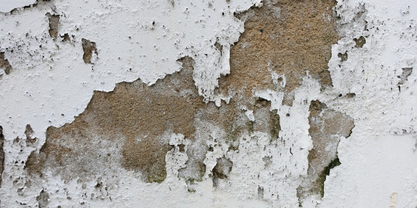 Pintar Fachadas de Empresas / Negocios / Locales Comerciales Maials · Pintura Antihumedad / Antimoho para Humedades / Moho