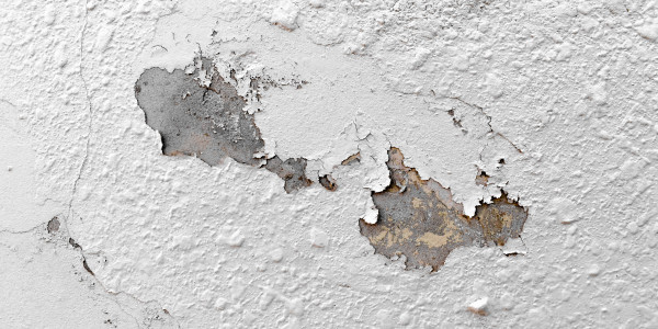 Pintar Fachadas de Naves Industriales, Fábricas y Almacenes Àger · Pintura Antihumedad / Antimoho para Humedades / Moho